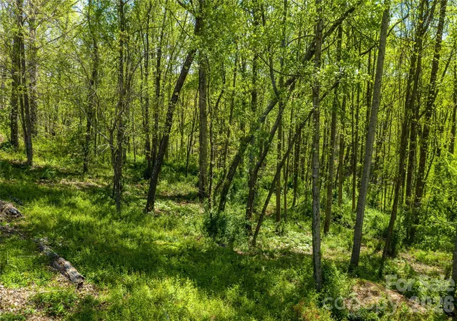 1st image of 9999 Bee Balm Wy #55, Asheville, NC 28804 | MLS# 4409301