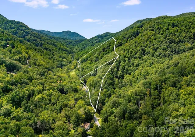 48th image of 2752 Gerton Hwy, Gerton, NC 28735 | MLS# 4409357