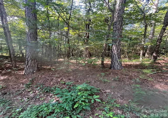 Photo 2 of Land for sale at 0 Ore Bank Rd #4, Smyrna, SC 29743 | MLS# 4409368 | Listing updated on 2026-08-01