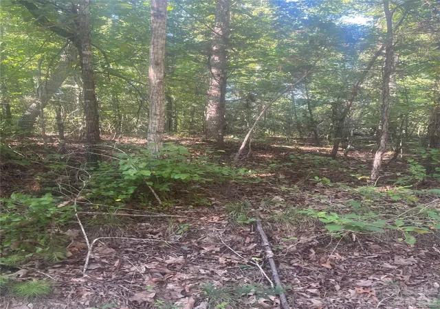 Photo 3 of Land for sale at 0 Ore Bank Rd #4, Smyrna, SC 29743 | MLS# 4409368 | Listing updated on 2026-08-01