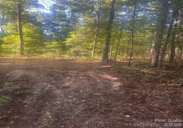 Photo 4 of Land for sale at 0 Ore Bank Rd #4, Smyrna, SC 29743 | MLS# 4409368 | Listing updated on 2026-08-01