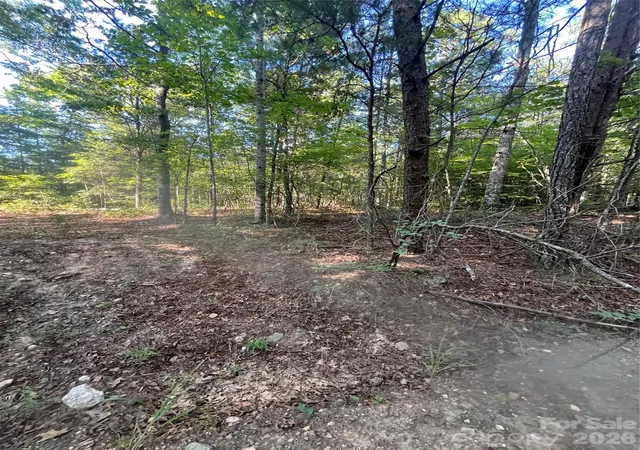 Photo 5 of Land for sale at 0 Ore Bank Rd #4, Smyrna, SC 29743 | MLS# 4409368 | Listing updated on 2026-08-01
