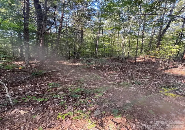 Photo 6 of Land for sale at 0 Ore Bank Rd #4, Smyrna, SC 29743 | MLS# 4409368 | Listing updated on 2026-08-01