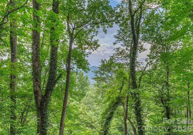 4th image of 212 Torda Tr, Waynesville, NC 28786 | MLS# 4409422