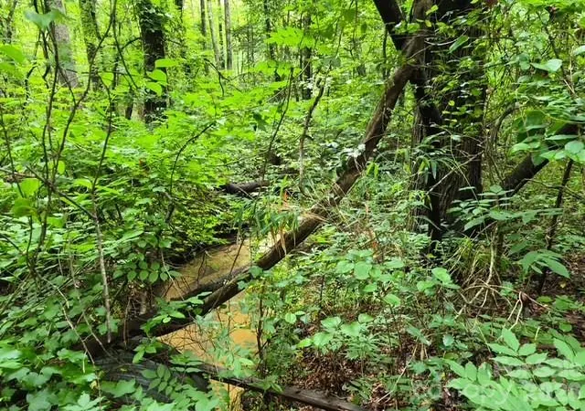 Photo 3 of Land for sale at 3231 Shadybark Trl, Catawba, SC 29704 | MLS# 4409468 | Listing updated on 2026-08-23