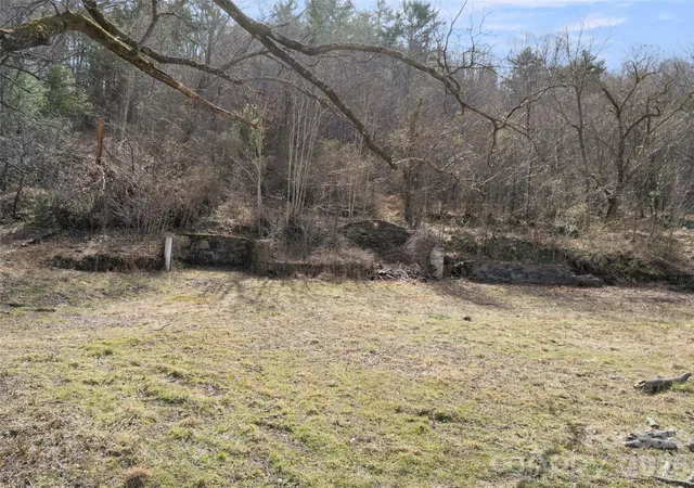 Photo 3 of Land for sale at 401 Baird Cvs Rd, Asheville, NC 28804 | MLS# 4409508 | Listing updated on 2026-09-21