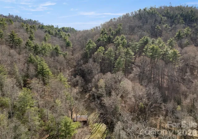 10th image of 401 Baird Cove Rd, Asheville, NC 28804 | MLS# 4409508