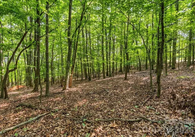 4th image of 149 Mossy Oak Trl #167, Nebo, NC 28761 | MLS# 4409530