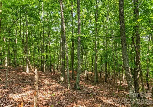 5th image of 149 Mossy Oak Trl #167, Nebo, NC 28761 | MLS# 4409530