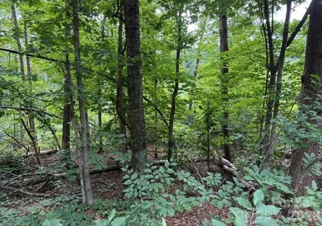 11th image of 00 Chisholm Trl, Rutherfordton, NC 28139 | MLS# 4409538