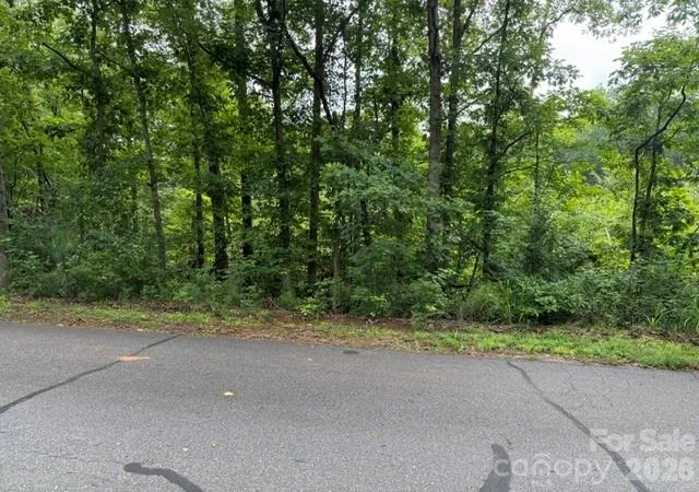 5th image of 00 Chisholm Trl, Rutherfordton, NC 28139 | MLS# 4409538