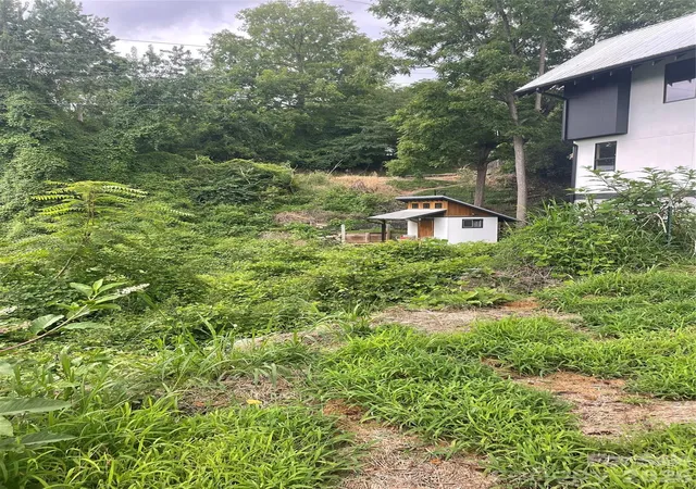 4th image of 429 W Haywood St, Asheville, NC 28801 | MLS# 4409549