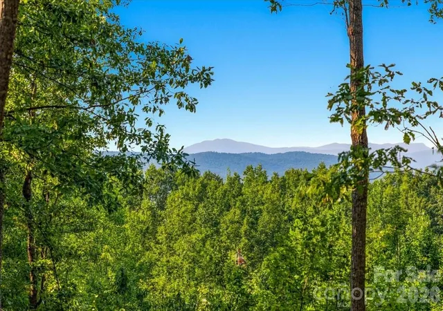 1st image of 207 Mossy Oak Trl #166, Nebo, NC 28761 | MLS# 4409551
