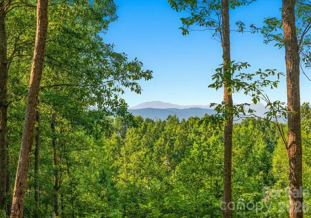 2nd image of 207 Mossy Oak Trl #166, Nebo, NC 28761 | MLS# 4409551