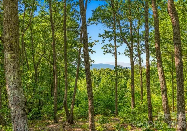 3rd image of 207 Mossy Oak Trl #166, Nebo, NC 28761 | MLS# 4409551