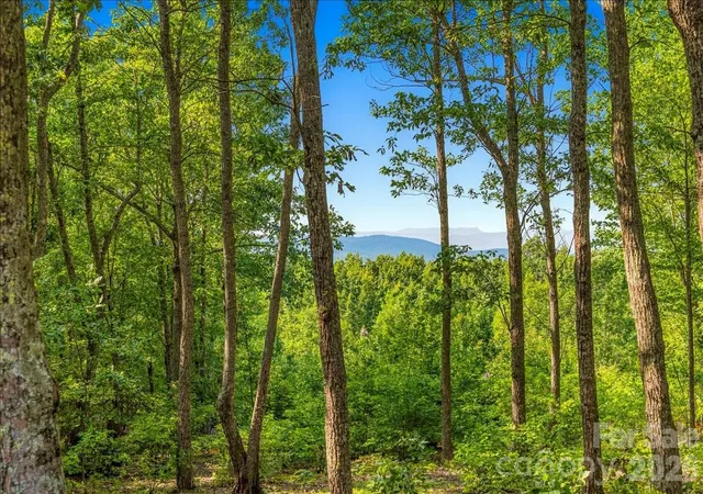 4th image of 207 Mossy Oak Trl #166, Nebo, NC 28761 | MLS# 4409551