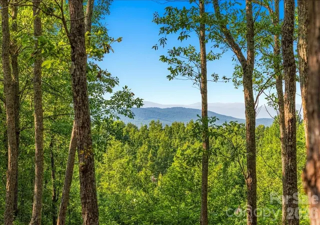 5th image of 207 Mossy Oak Trl #166, Nebo, NC 28761 | MLS# 4409551