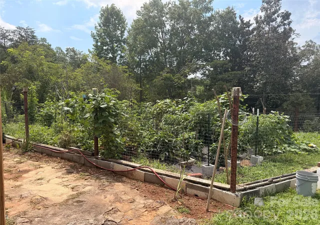45th image of 4991 Albert Williams Rd W, Connelly Springs, NC 28612 | MLS# 4409865
