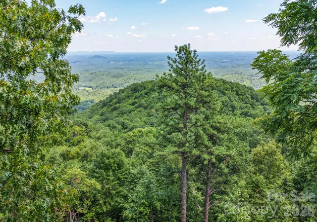 46th image of 155 Hickory Nut Ln, Lake Lure, NC 28746 | MLS# 4409899