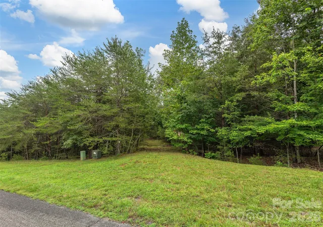 3rd image of Lot Pkwy N Rd #28, Mill Spring, NC 28756 | MLS# 4409905