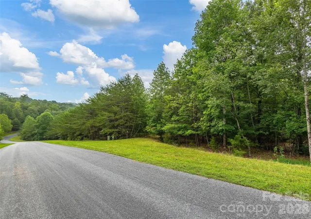 4th image of Lot Pkwy N Rd #28, Mill Spring, NC 28756 | MLS# 4409905