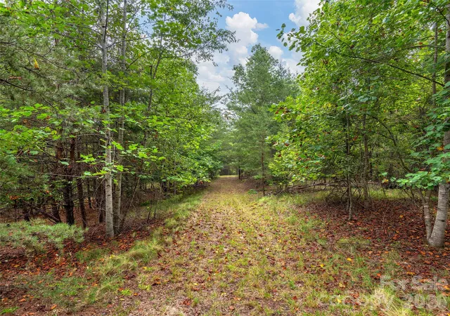 5th image of Lot Pkwy N Rd #28, Mill Spring, NC 28756 | MLS# 4409905