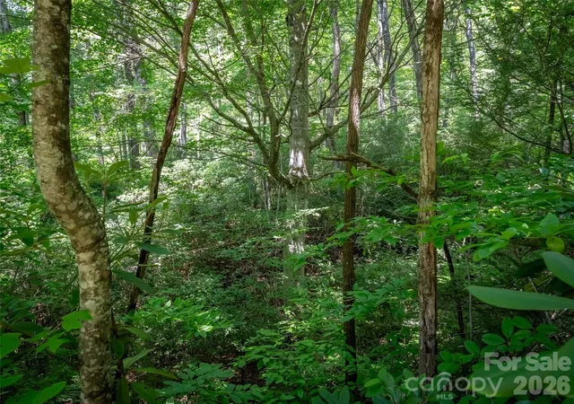 Photo 4 of Land for sale at M11 Pine Mountain Trl, Brevard, NC 28712 | MLS# 4409949 | Listing updated on 2026-08-07
