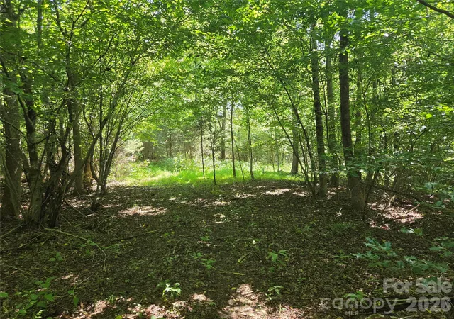 Photo 3 of Land for sale at 700 Nelson Ln, Millers Creek, NC 28651 | MLS# 4409965 | Listing updated on 2026-08-29
