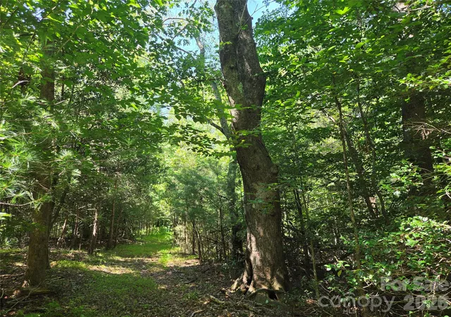 Photo 4 of Land for sale at 700 Nelson Ln, Millers Creek, NC 28651 | MLS# 4409965 | Listing updated on 2026-08-29