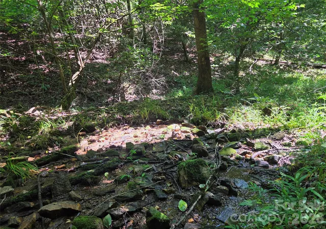 Photo 5 of Land for sale at 700 Nelson Ln, Millers Creek, NC 28651 | MLS# 4409965 | Listing updated on 2026-08-29