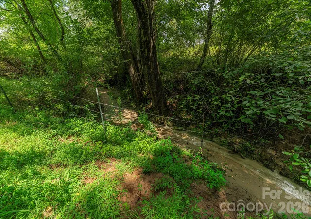 16th image of 99999 Little Bo Ln, Leicester, NC 28748 | MLS# 4409972