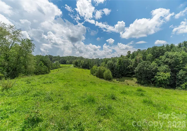 2nd image of 99999 Little Bo Ln, Leicester, NC 28748 | MLS# 4409972