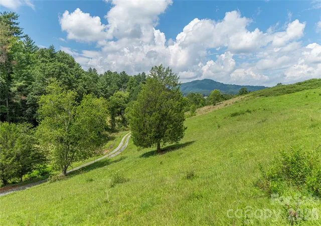 3rd image of 99999 Little Bo Ln, Leicester, NC 28748 | MLS# 4409972