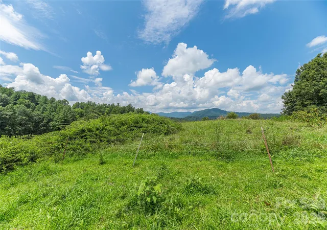 4th image of 99999 Little Bo Ln, Leicester, NC 28748 | MLS# 4409972