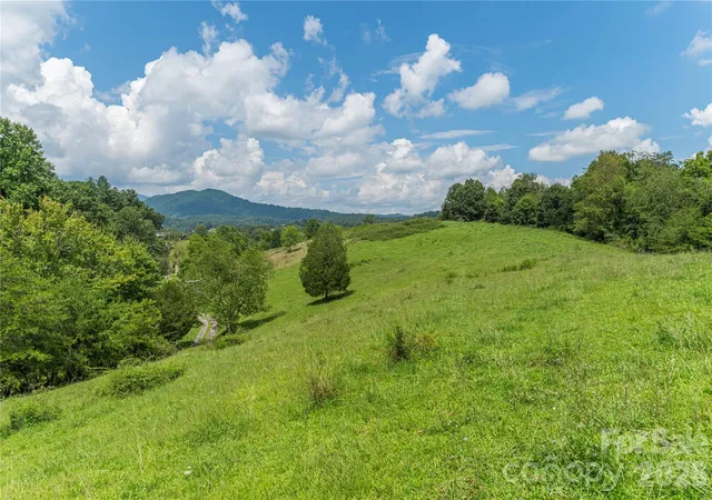 5th image of 99999 Little Bo Ln, Leicester, NC 28748 | MLS# 4409972