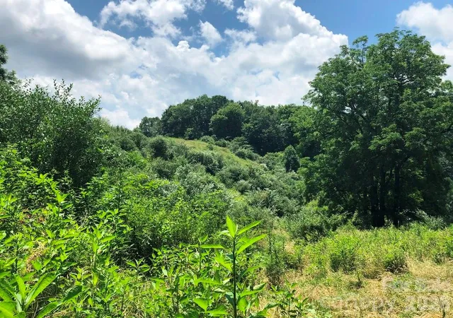 Photo 4 of Land for sale at 866 Georges Gap Rd, Vilas, NC 28692 | MLS# 4409985 | Listing updated on 2026-07-31