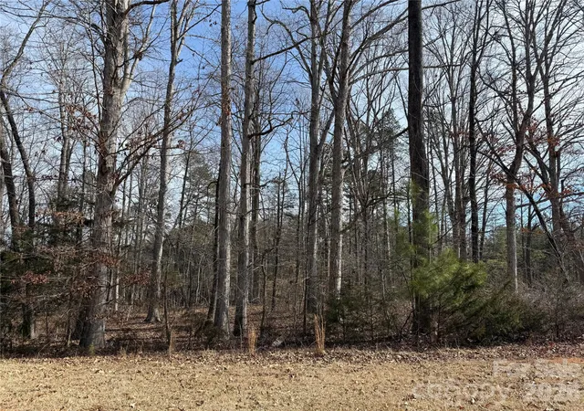 Photo 3 of Land for sale at 868 Bellegray Rd, Clover, SC 29710 | MLS# 4409991 | Listing updated on 2026-08-10
