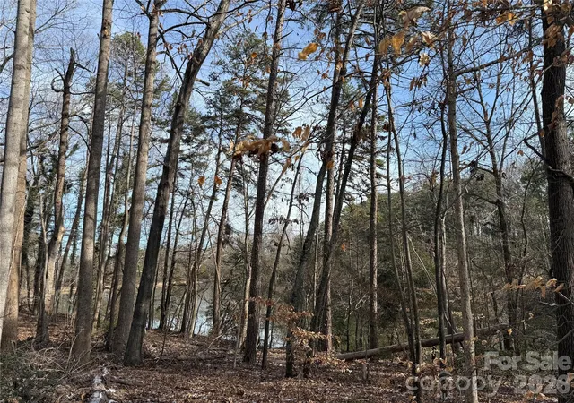 Photo 3 of Land for sale at 868 Bellegray Rd, Clover, SC 29710 | MLS# 4409991 | Listing updated on 2026-08-10