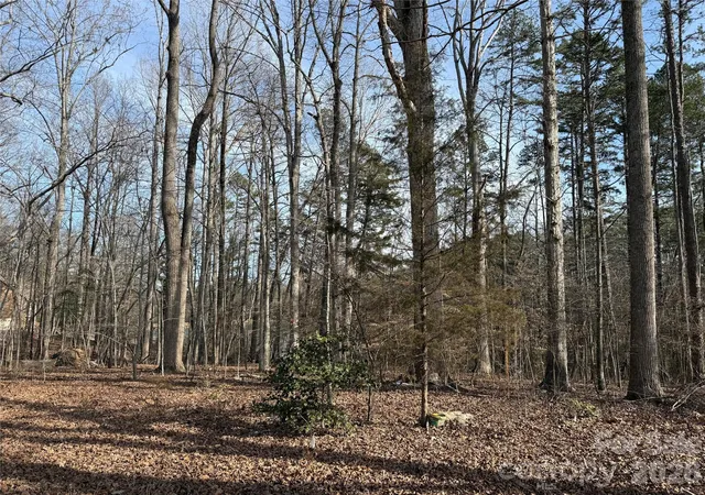 Photo 4 of Land for sale at 868 Bellegray Rd, Clover, SC 29710 | MLS# 4409991 | Listing updated on 2026-08-10
