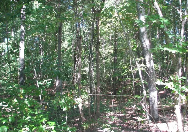 Photo 4 of Land for sale at 25 Ac Brandon Rd, Clover, SC 29710 | MLS# 4410016 | Listing updated on 2026-09-01