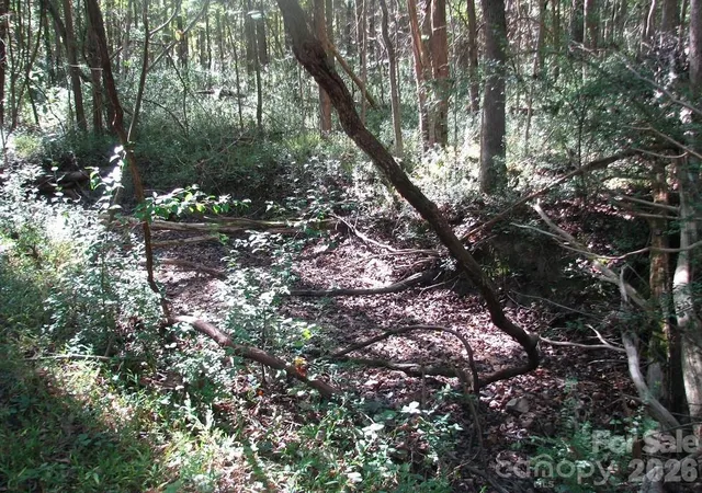 Photo 5 of Land for sale at 25 Ac Brandon Rd, Clover, SC 29710 | MLS# 4410016 | Listing updated on 2026-09-01