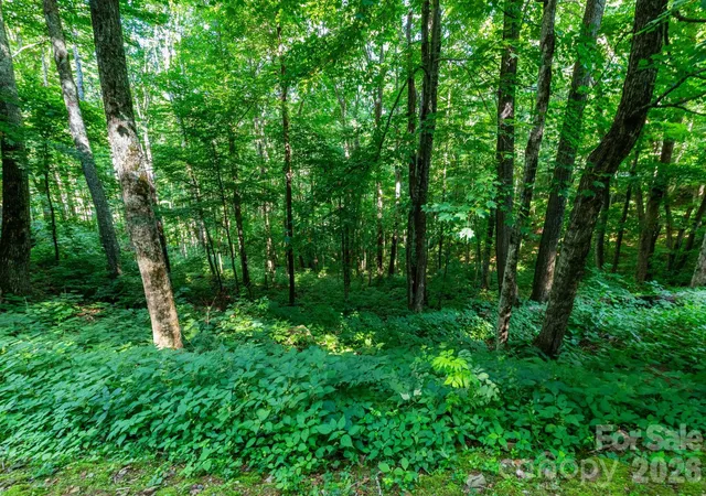 2nd image of Lot 25 Finlaystone Tr #25, Waynesville, NC 28786 | MLS# 4410018