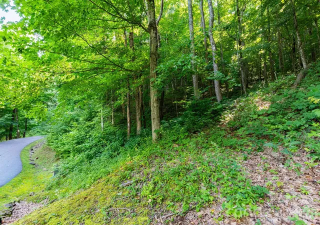 1st image of Lot 30 Finlaystone Tr #30, Waynesville, NC 28786 | MLS# 4410019