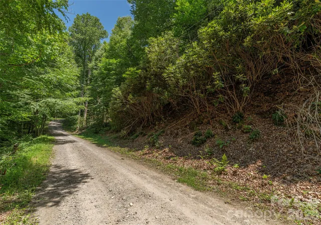 Photo 3 of Land for sale at 00 Rough Knob Rd, Clyde, NC 28721 | MLS# 4410050 | Listing updated on 2026-08-11