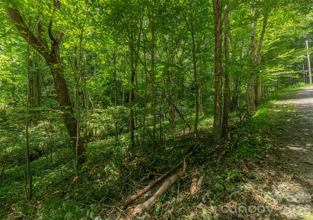 1st image of 000 Rough Knob Rd, Clyde, NC 28721 | MLS# 4410060