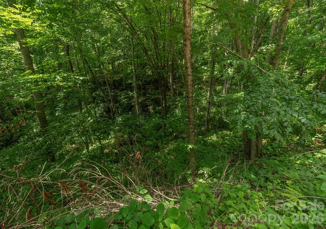 2nd image of 000 Rough Knob Rd, Clyde, NC 28721 | MLS# 4410060