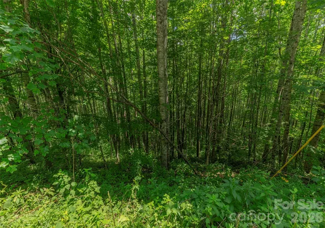 Photo 3 of Land for sale at 000 Rough Knob Rd, Clyde, NC 28721 | MLS# 4410060 | Listing updated on 2026-08-11