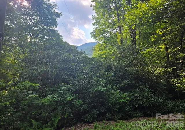 Photo 1 of Land for sale at 000 Greenspire Dr, Sylva, NC 28779 | MLS# 4410098 | Listing updated on 2026-07-31