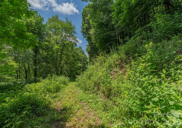 Photo 3 of Land for sale at No 911 Address Assigned 0 #NO, Hot Springs, NC 28743 | MLS# 4410103 | Listing updated on 2026-08-11