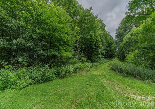Photo 2 of Land for sale at 00000 Rough Knob Rd, Clyde, NC 28721 | MLS# 4410122 | Listing updated on 2026-08-11